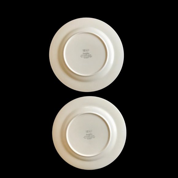 MIKASA Intaglio Garden Harvest Dinner Plate Set of 2 - Picture 2 of 7